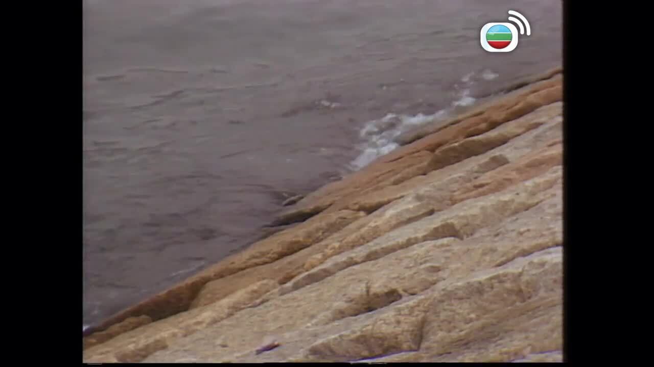 Let It Be Love-4 In Love