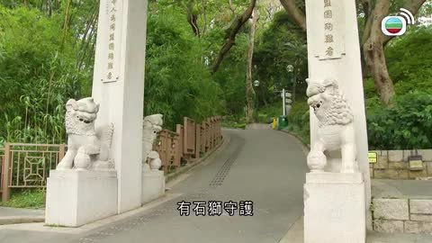 Tập 186
