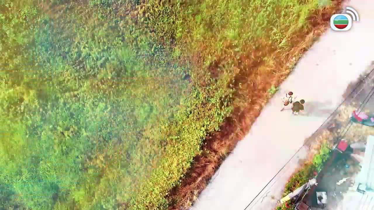 Tập 15