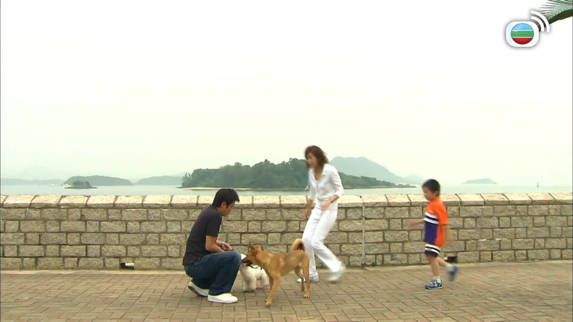 當狗愛上貓-When A Dog Loves A Cat