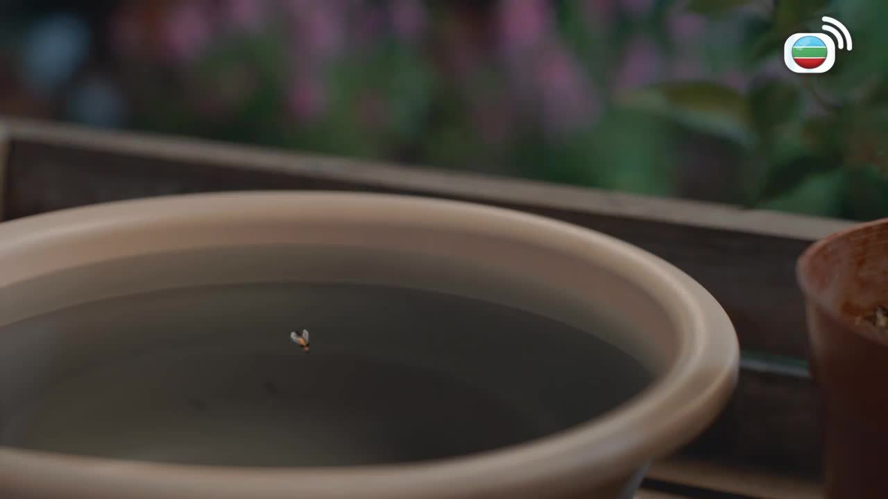 Episode 03