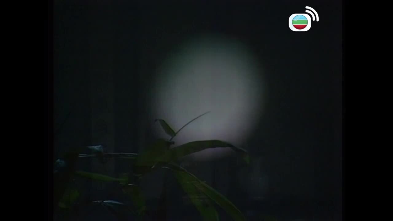 英雄出少年-The Young Heroes Of Shaolin