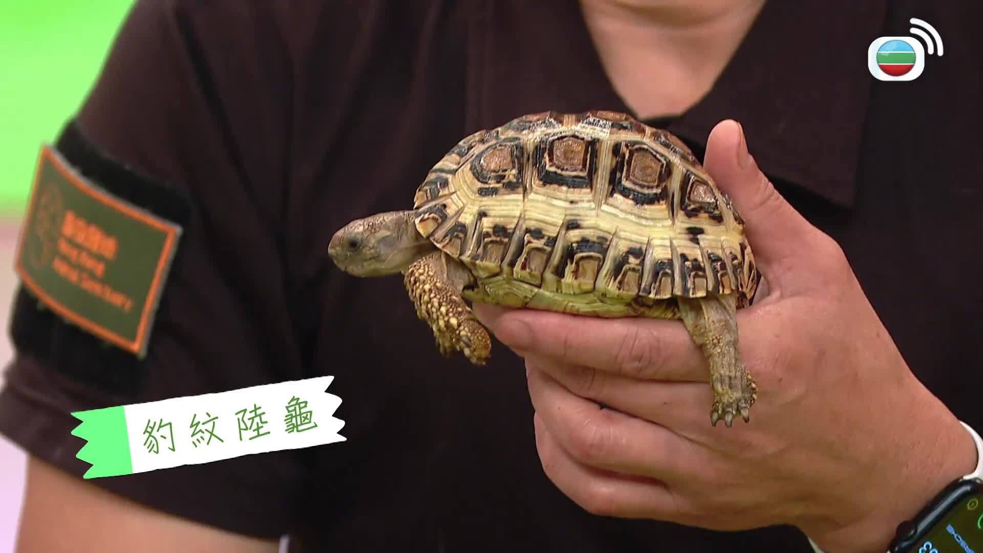 我瞞結婚了-Married But Available