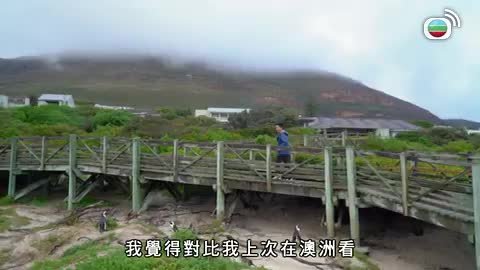 Tập 10