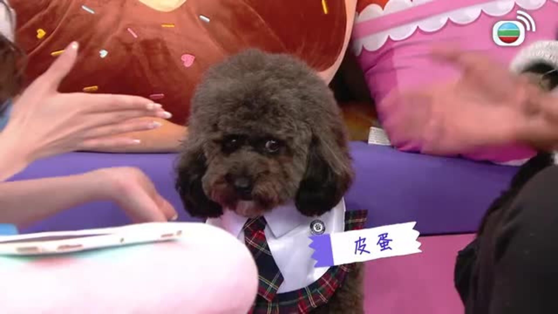 我瞞結婚了-Married But Available