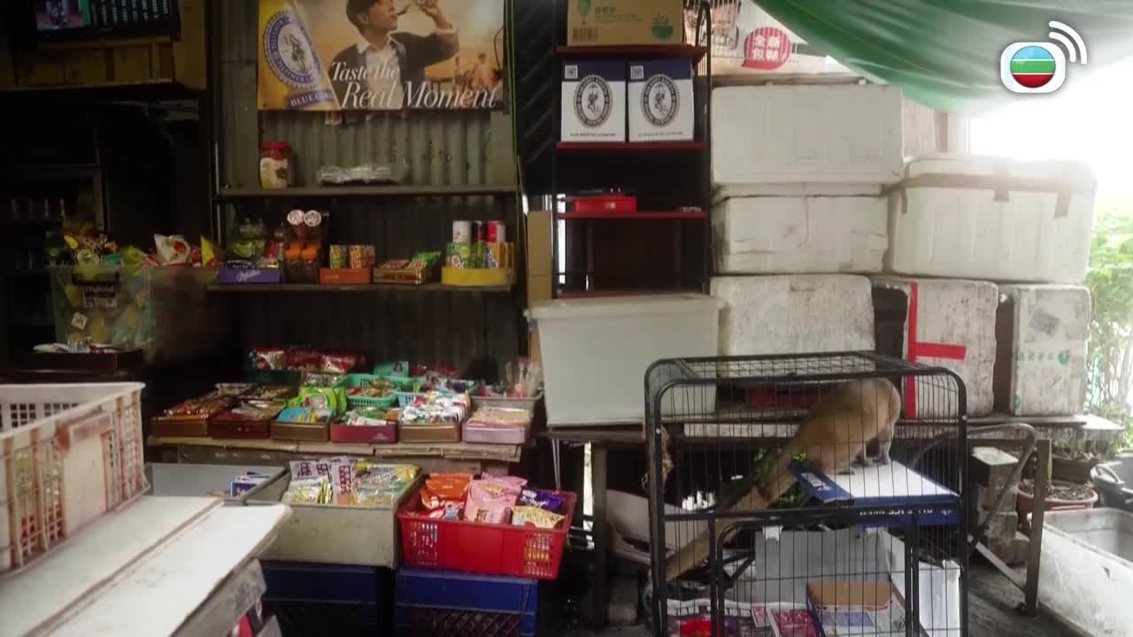 第05集