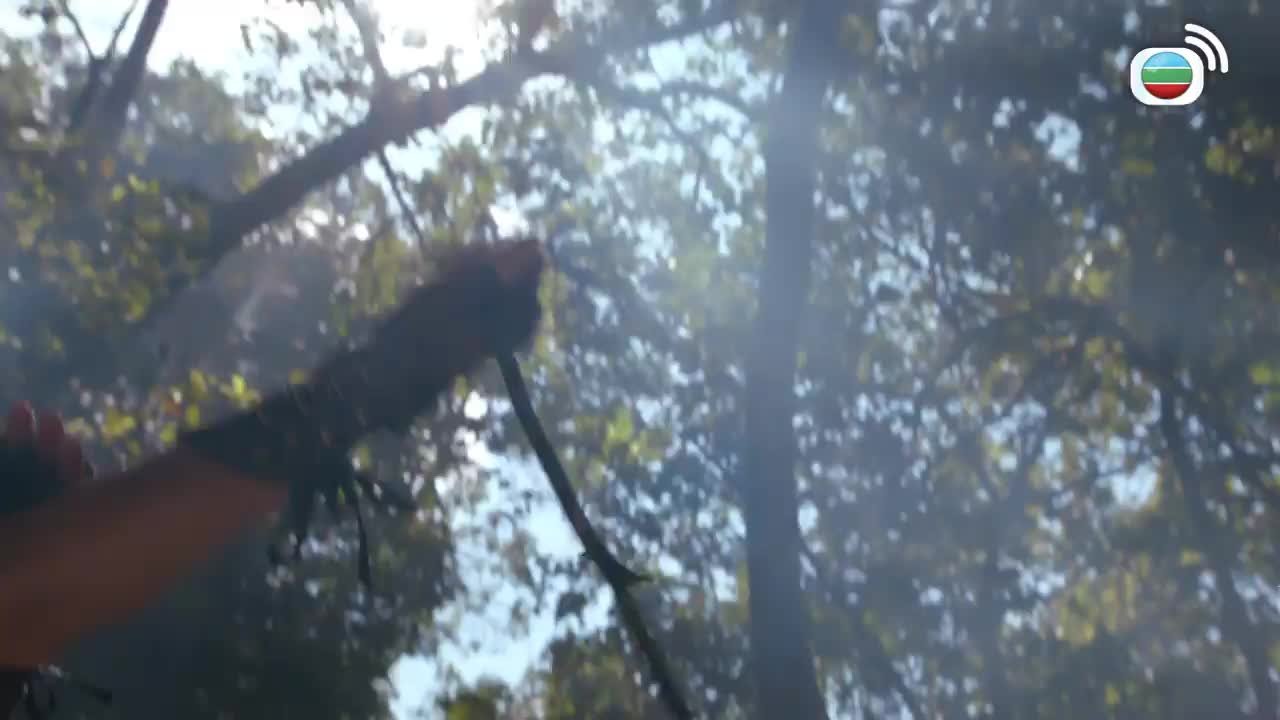 Episode 21