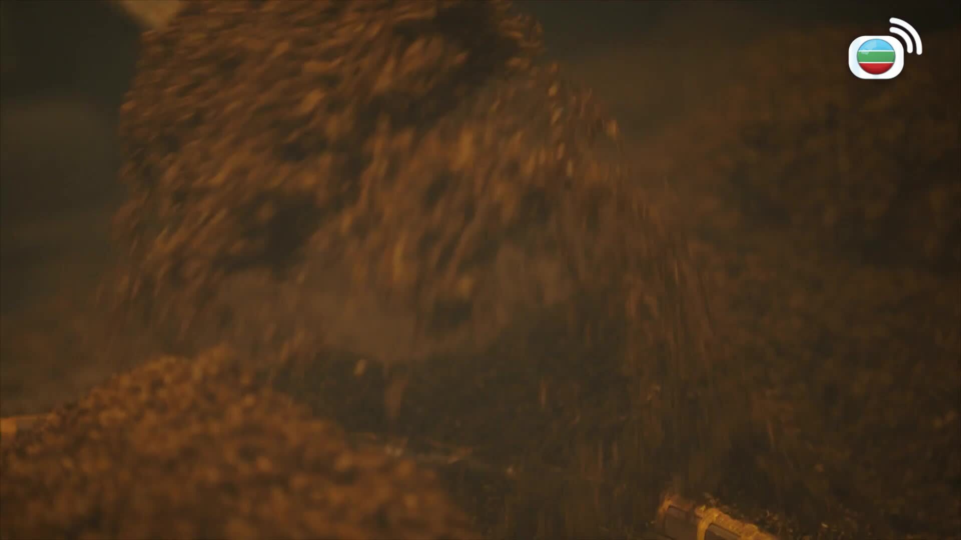 Under The Moonlight-錦囊妙錄