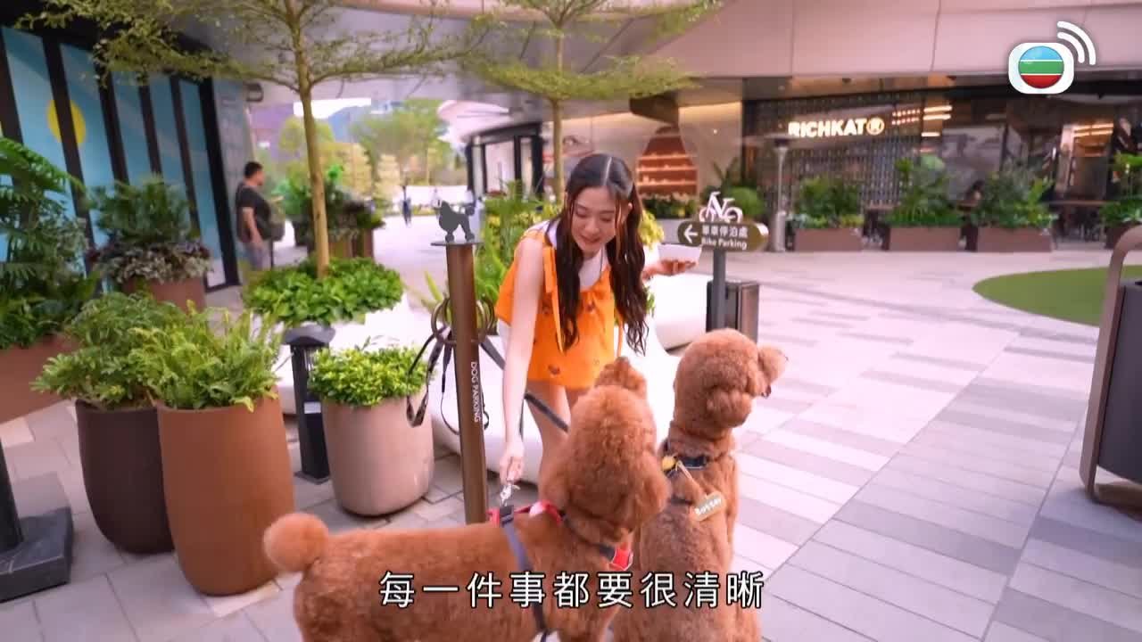 第03集
