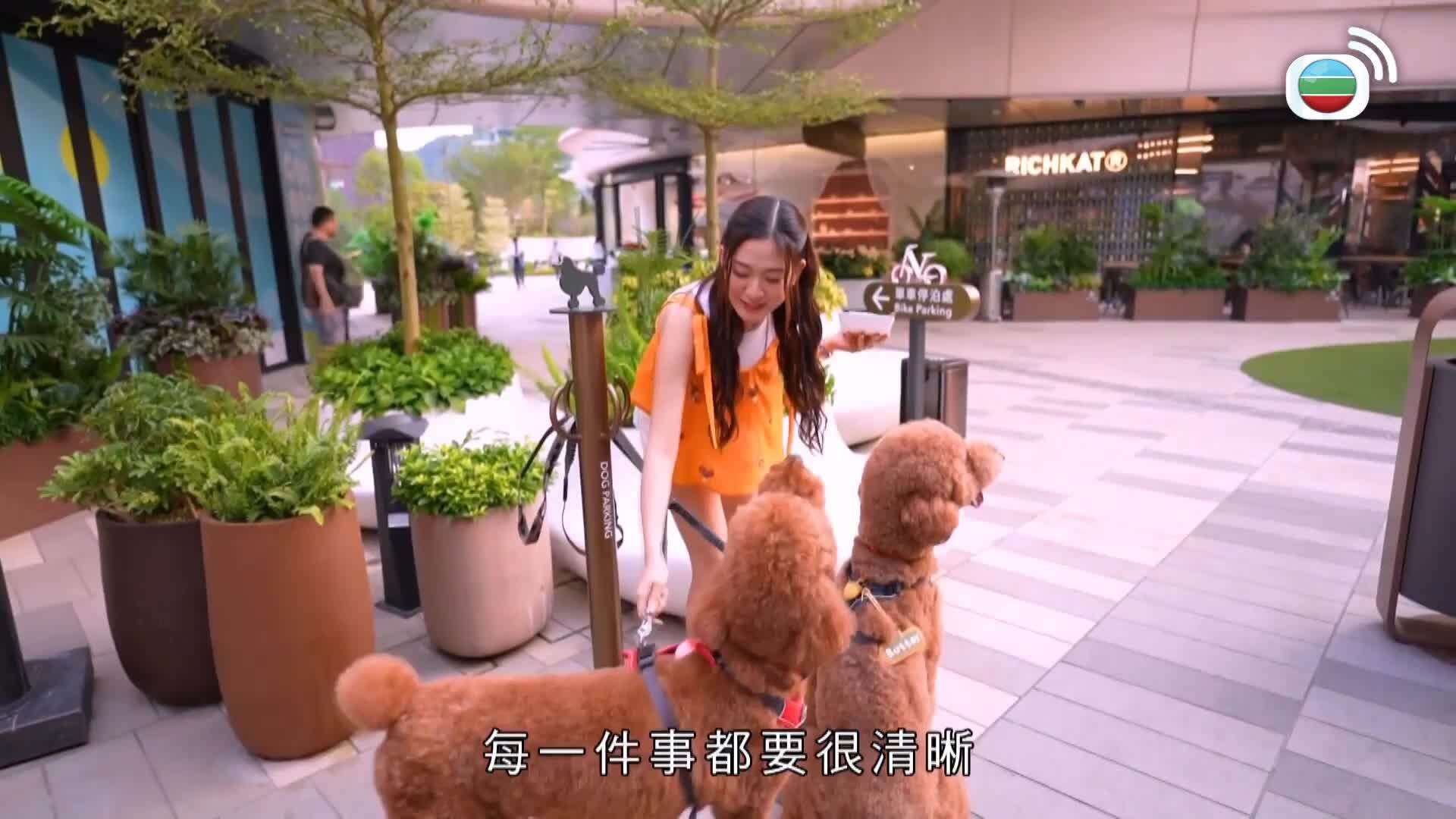 寵你一世-Paws Of Love