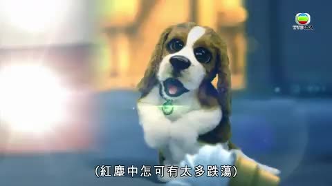 Tập 5