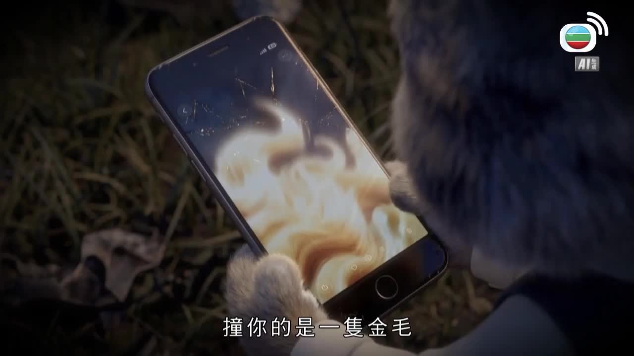 第40集