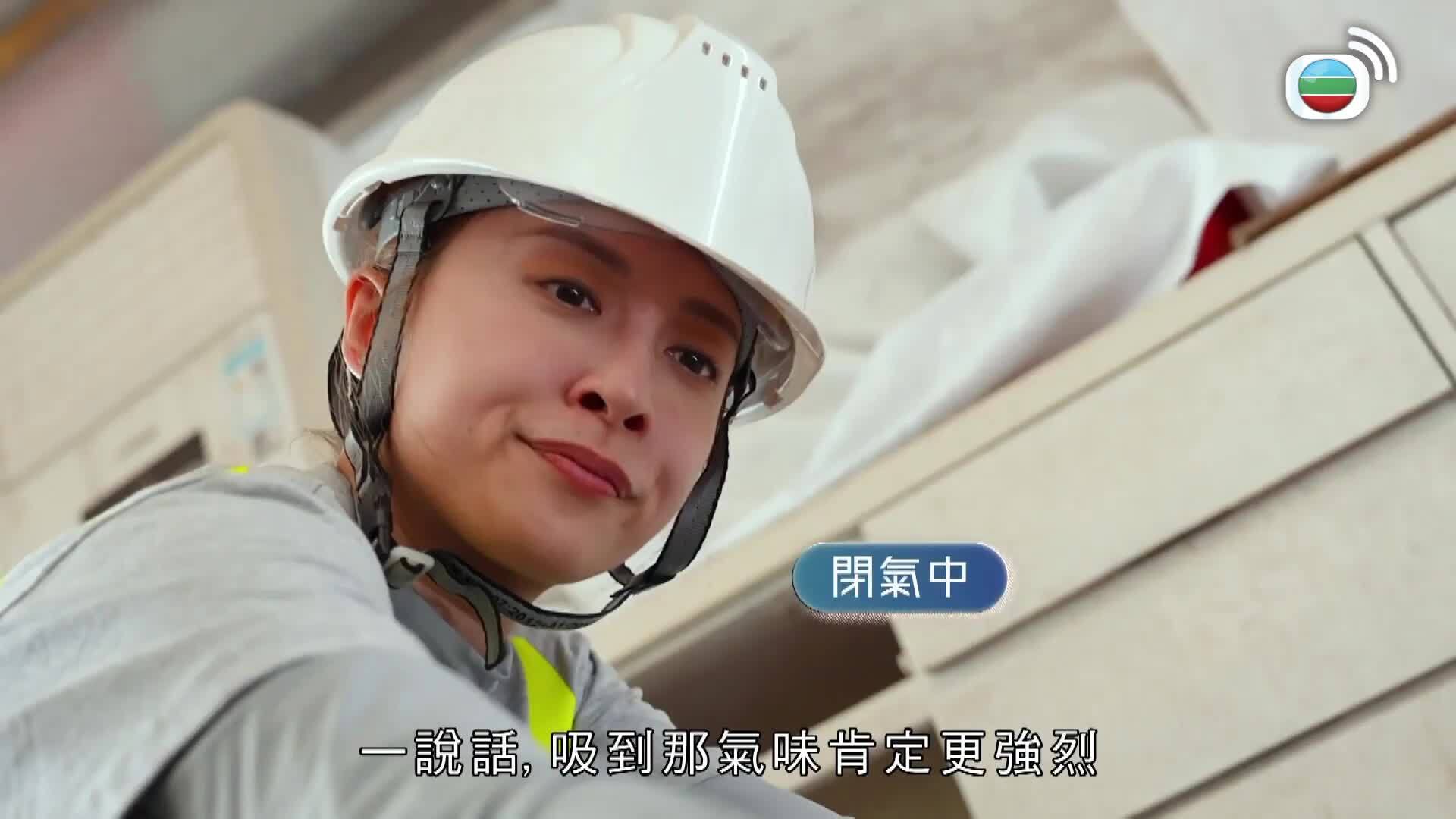 一日打工限定-A Day With A Pro
