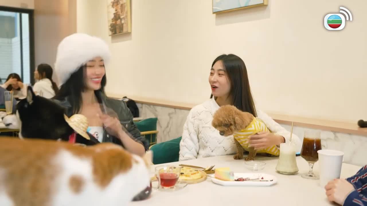 第07集