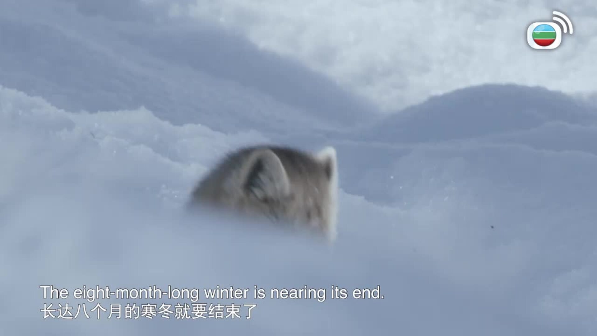 遇見最極致的中國 (國際版)-Exploring China’s Ultimate Natural Beauty