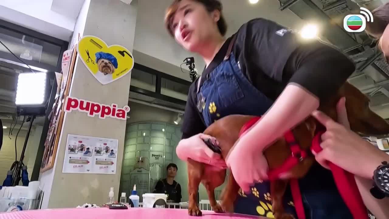 Tập 6