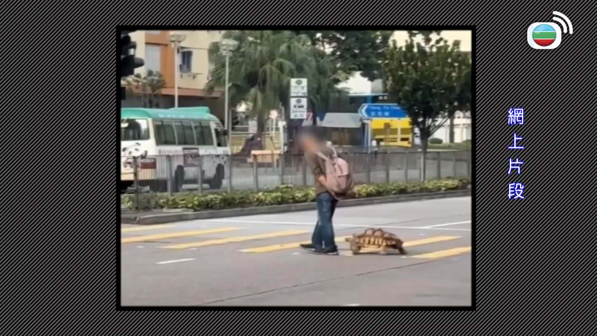 我瞞結婚了-Married But Available