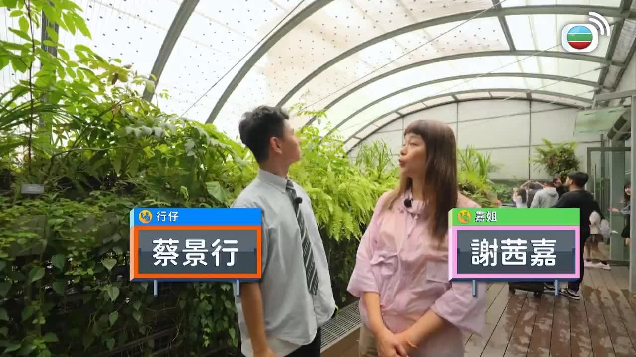 Tập 3