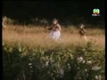 Episode 33
