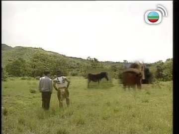 第03集