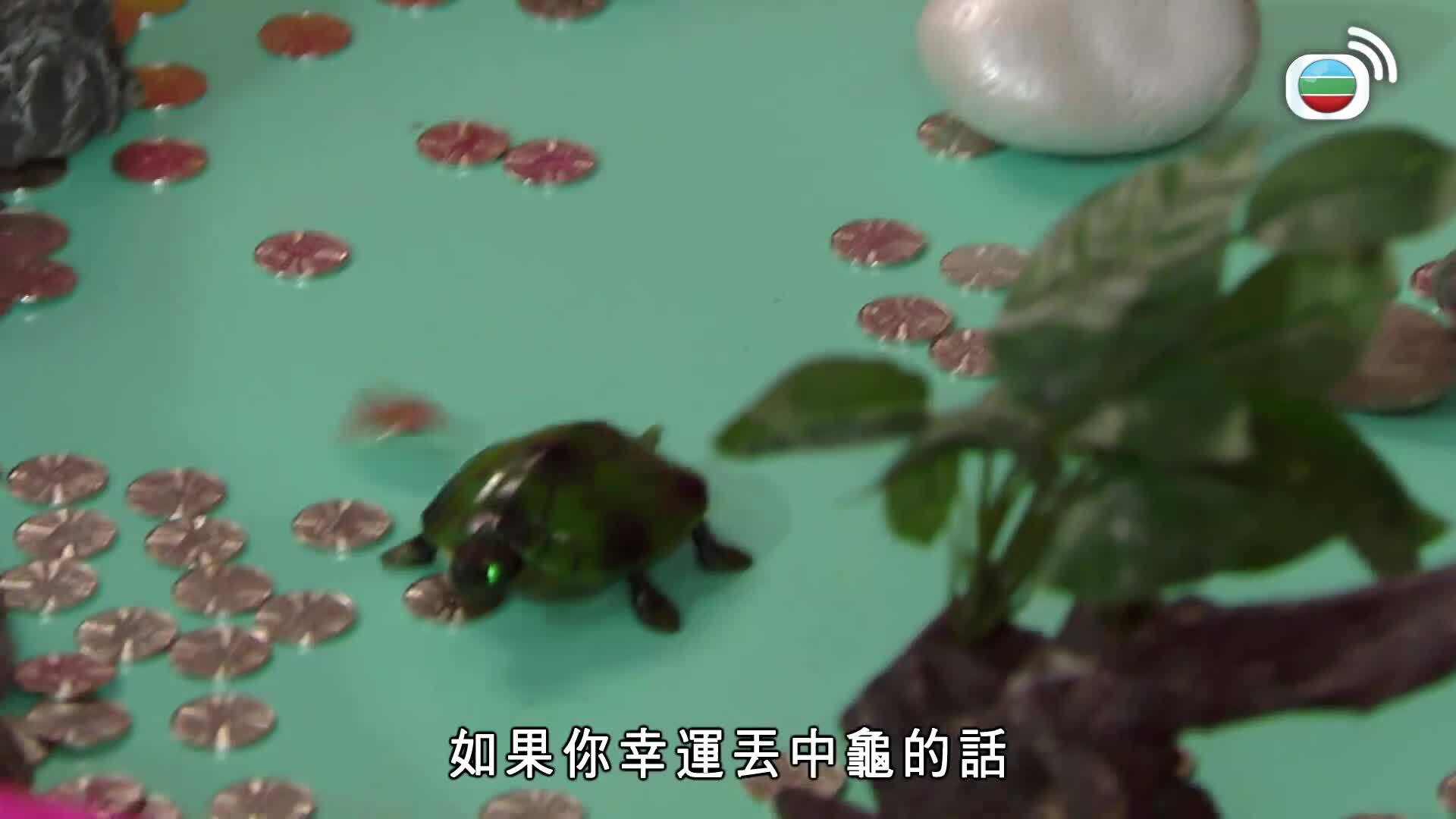 愛．回家之開心速遞 (25)-Lo And Behold (25)