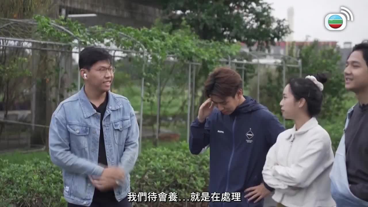 Tập 5