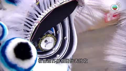 Tập 204