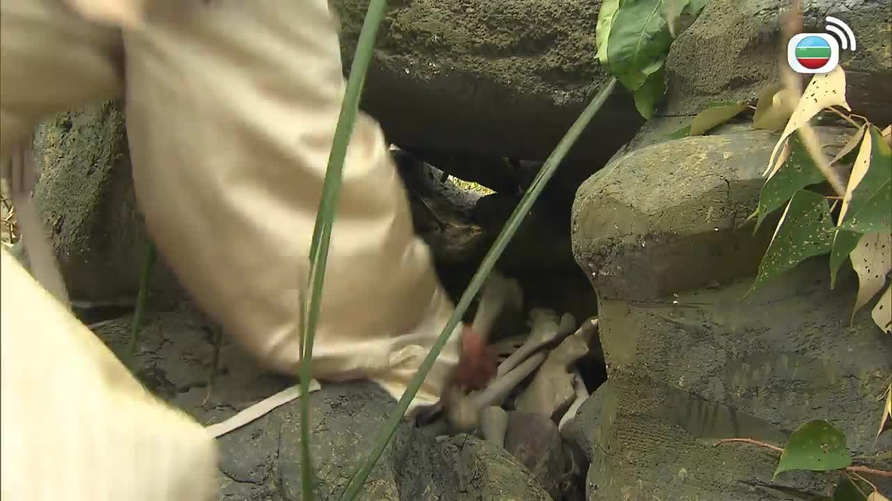 第14集