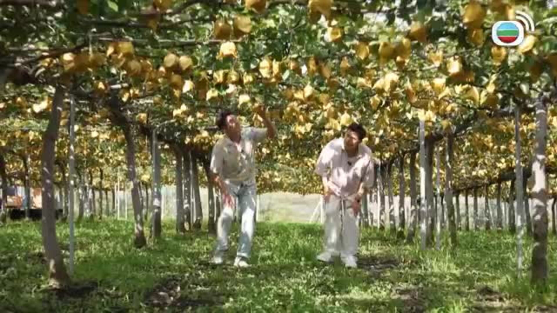 空運世一-A Race Against Time