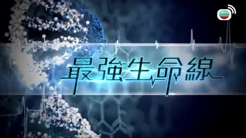 第194集