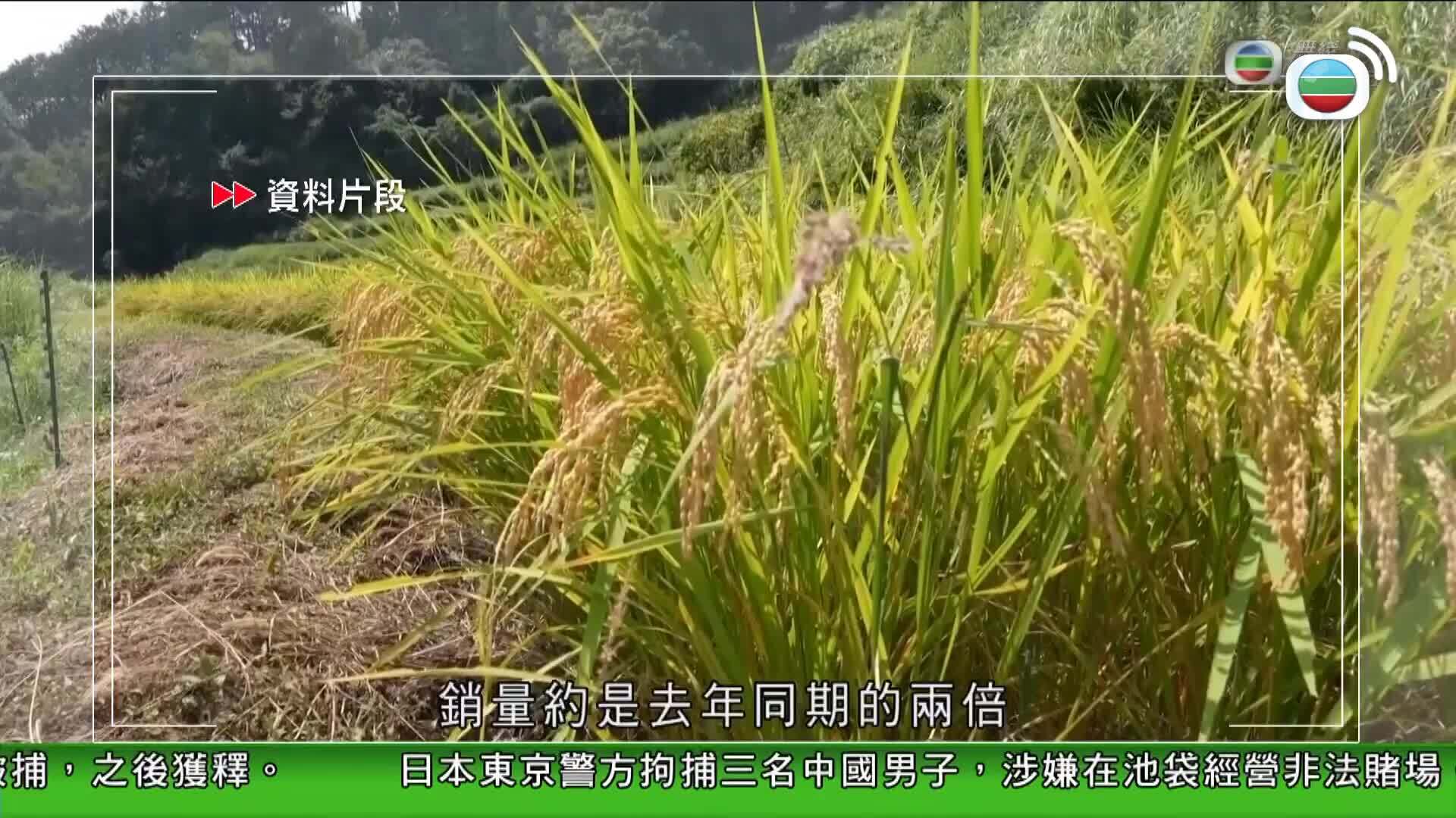 香港新聞報導-Hong Kong News
