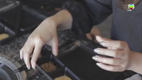 Tập 6