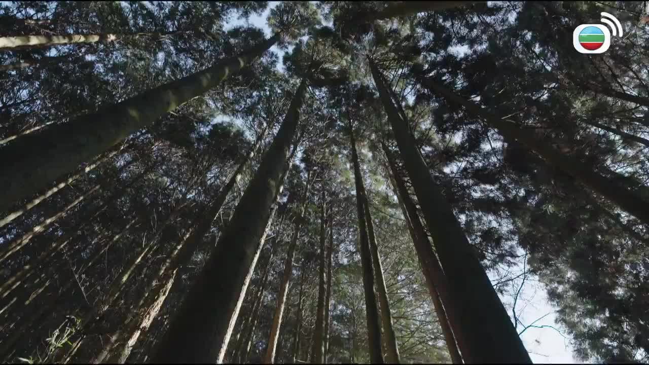 Episode 24