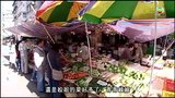 tập 15