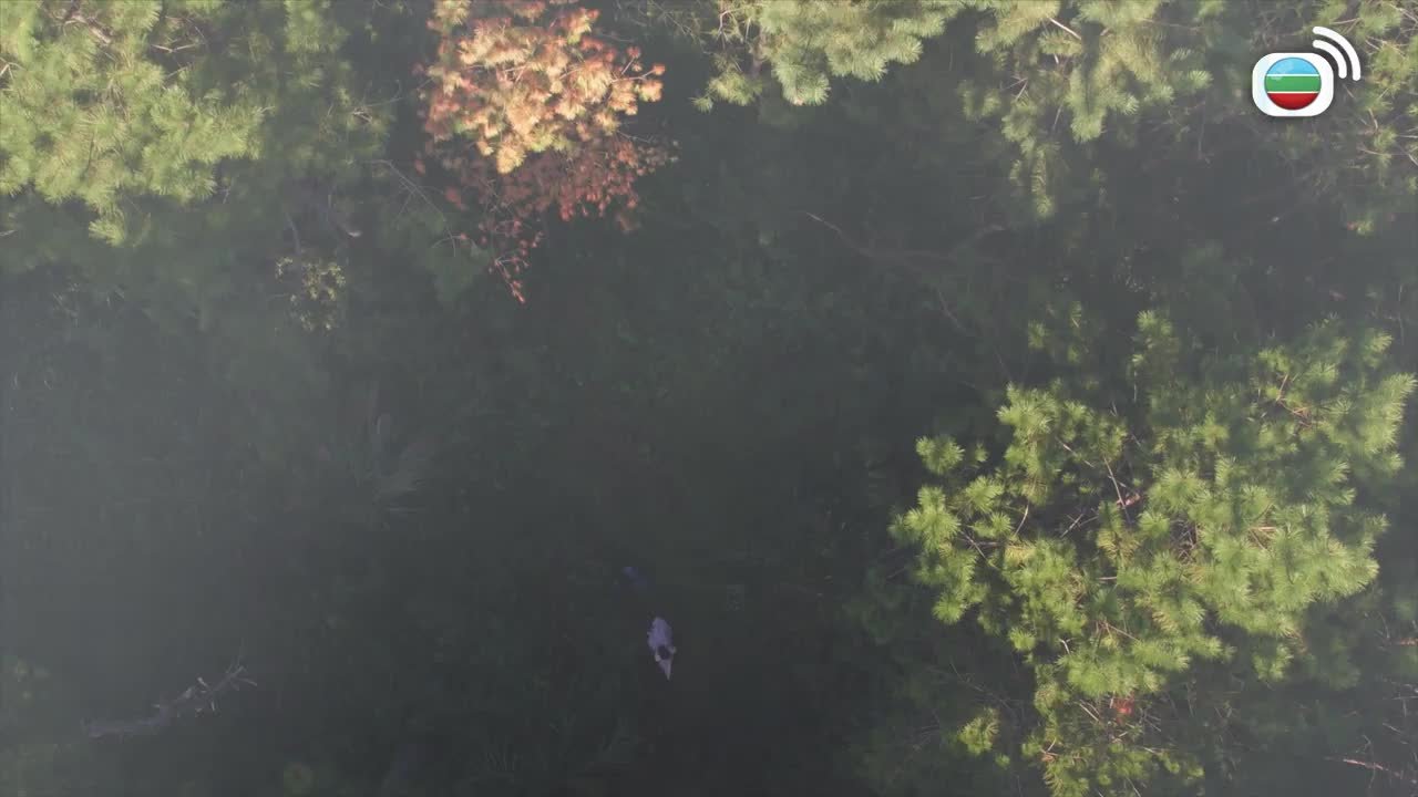 Episode 12