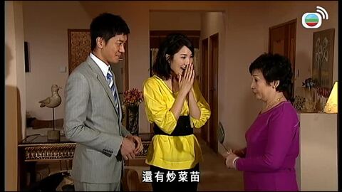 真相-The Other Truth