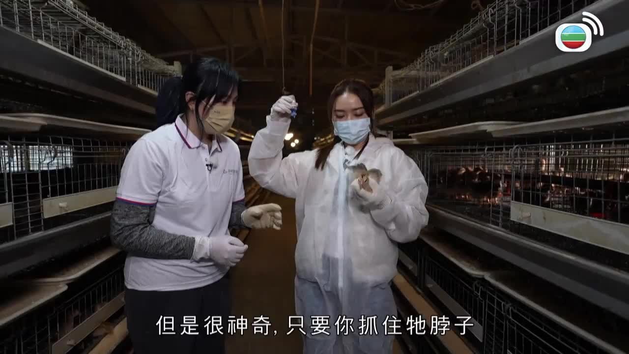 第05集