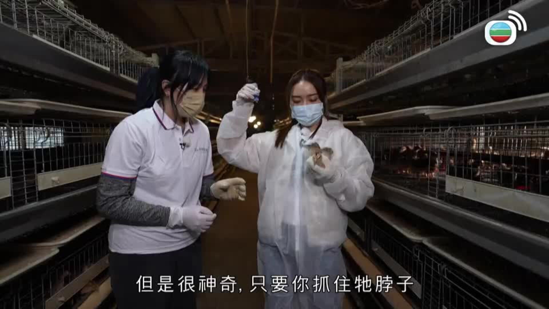 一日打工限定-A Day With A Pro