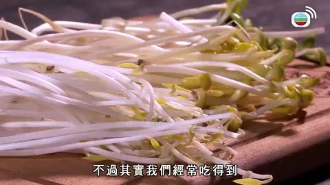 Tập 4