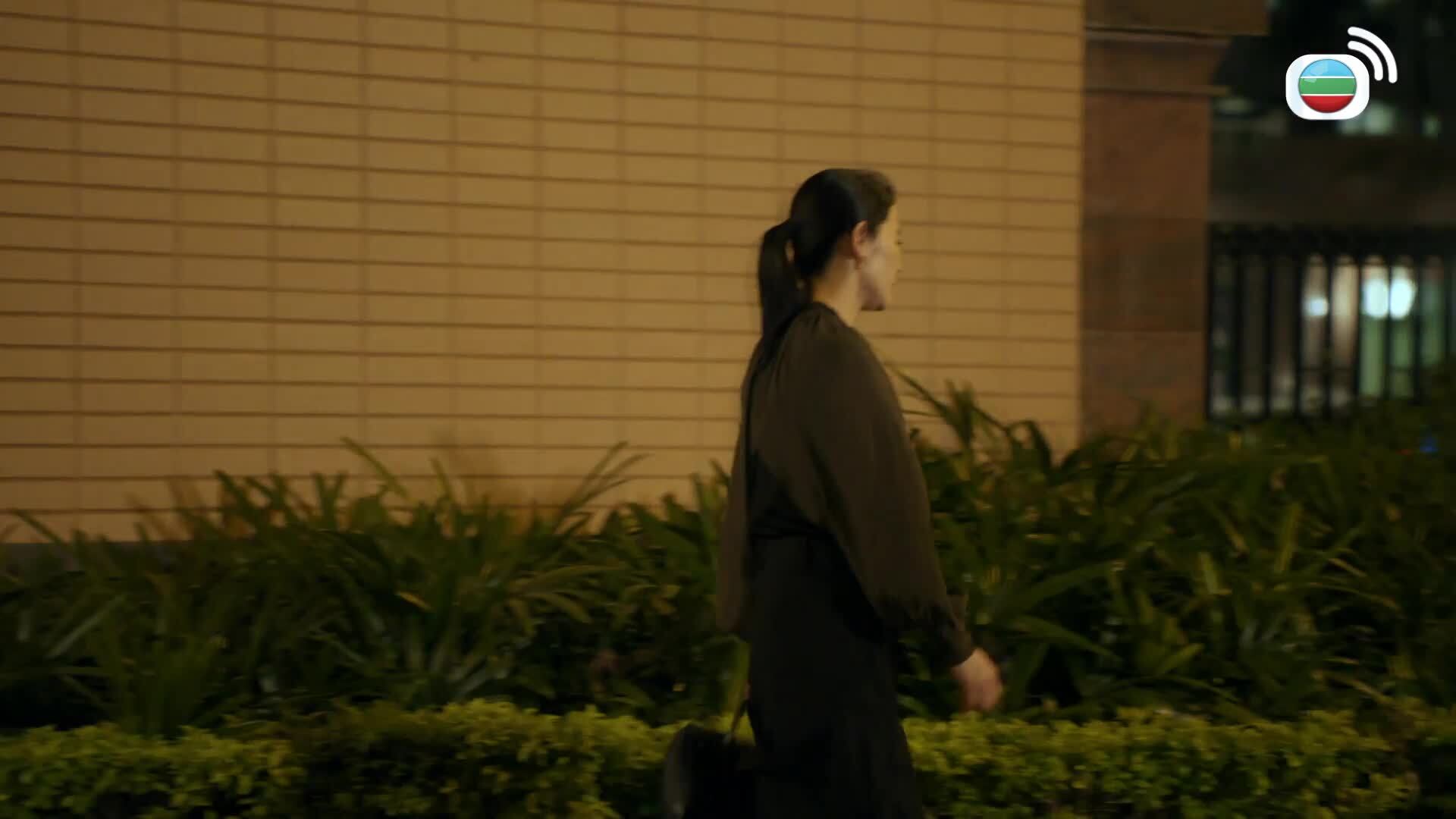 Lực Lượng Chấp Pháp-執法者們