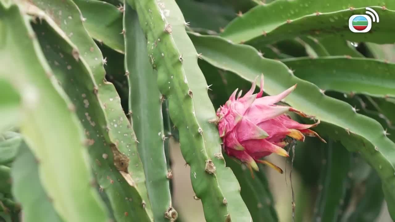 第04集