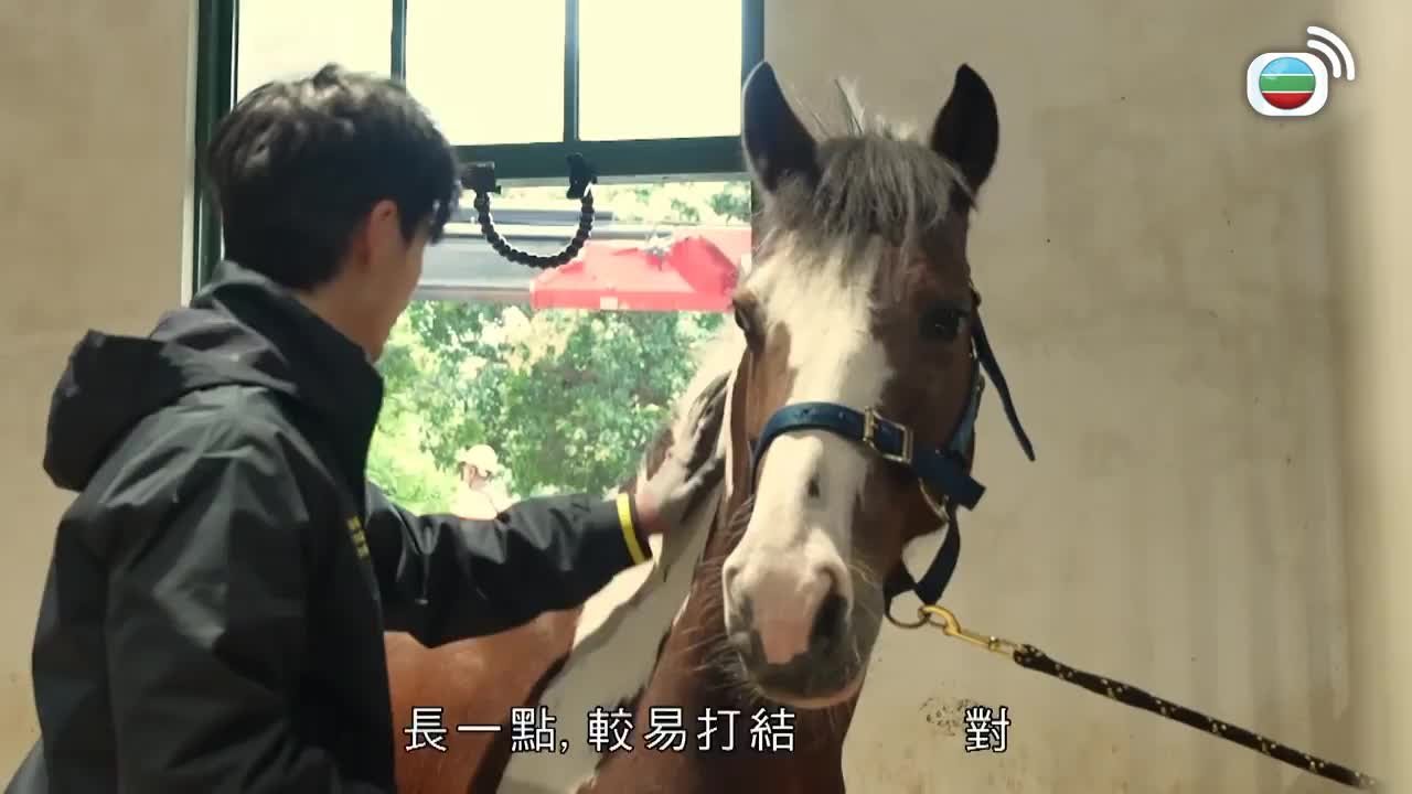 第13集