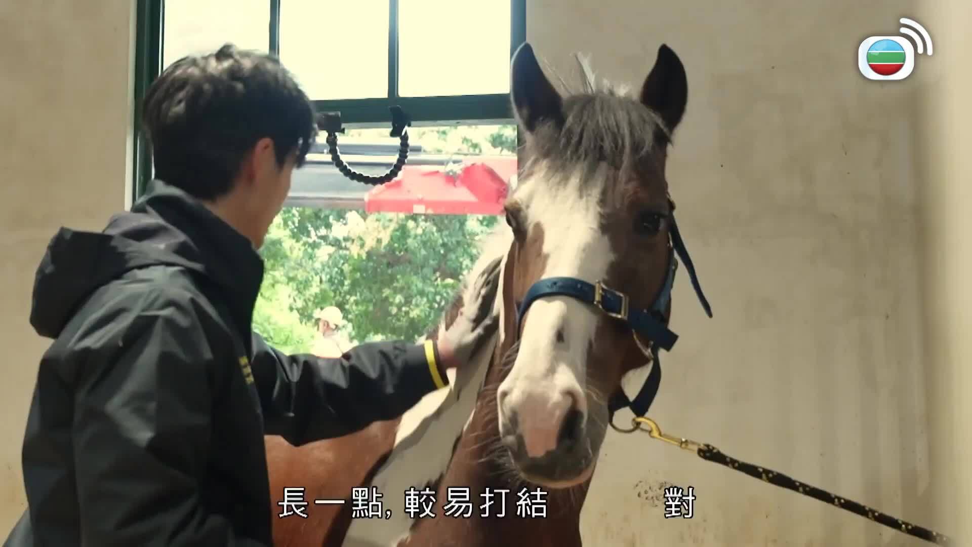 一日打工限定-A Day With A Pro