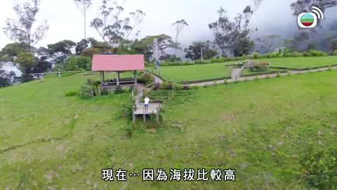 Tập 12