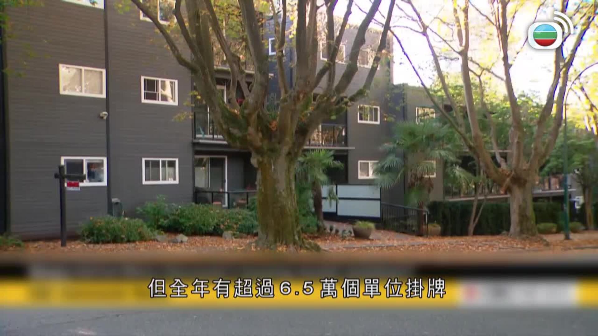 美加新聞-US-Canada News