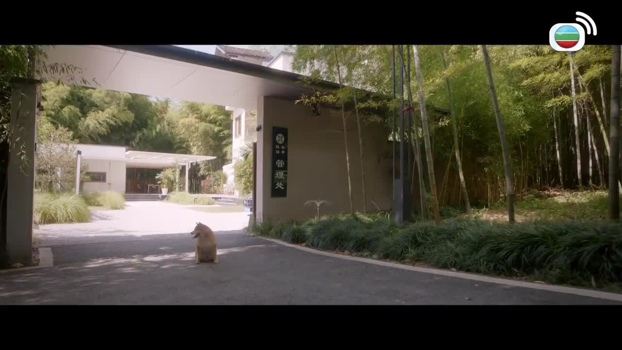 Episode 26