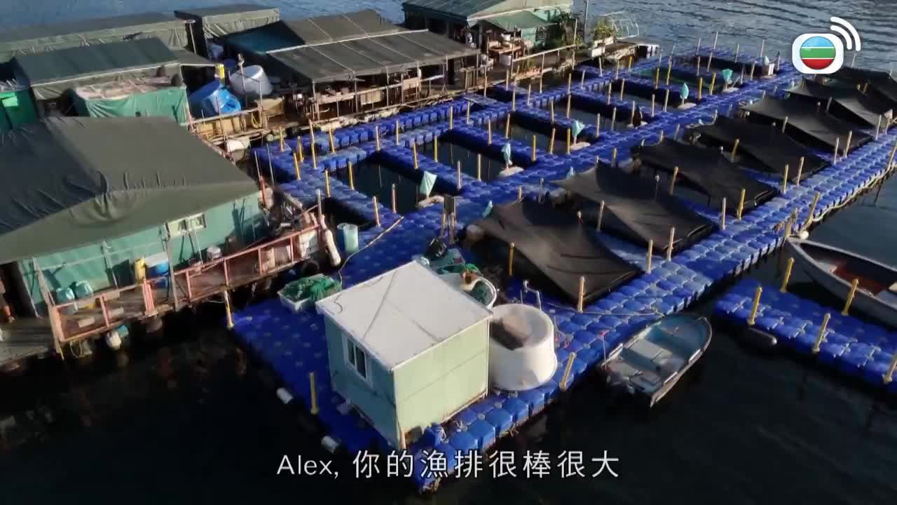第04集