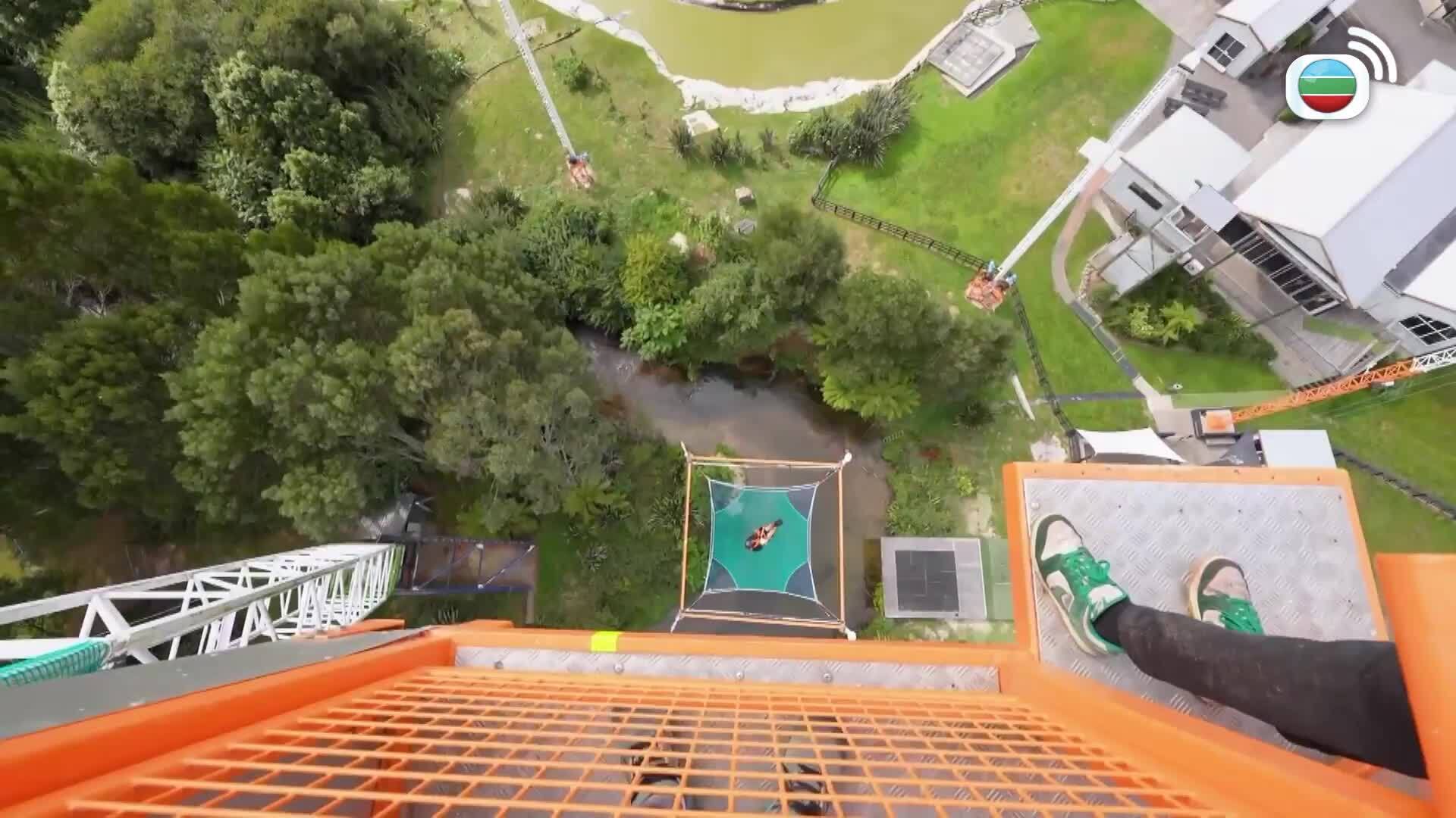 新西蘭潮什麼-Hipster Tour - New Zealand