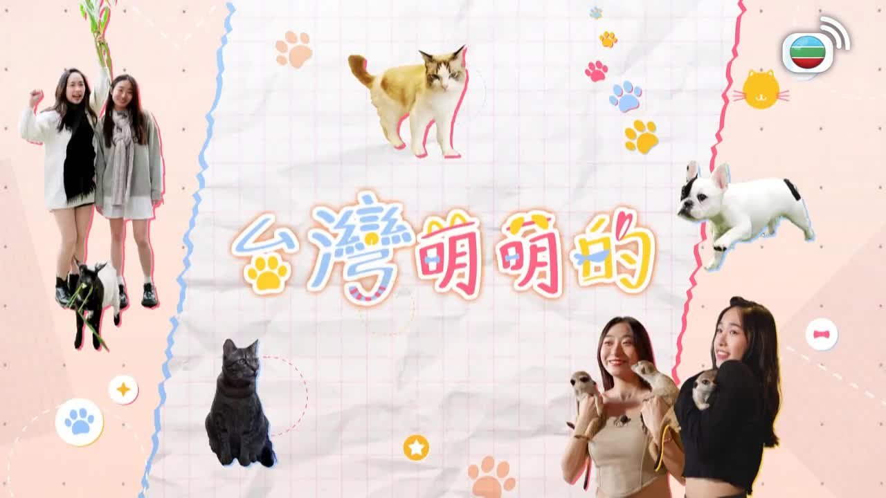 第08集