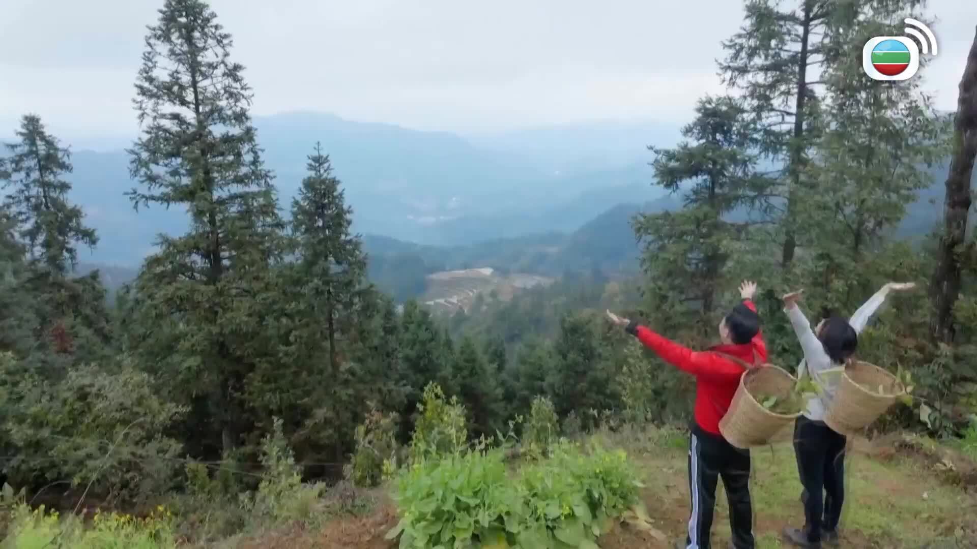 養生之旅-Journey To Well-Being